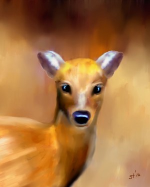 Innocence